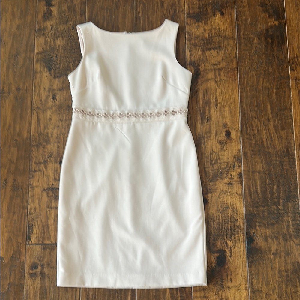 Ann Taylor Pink Sleeveless Shift Dress size 6P